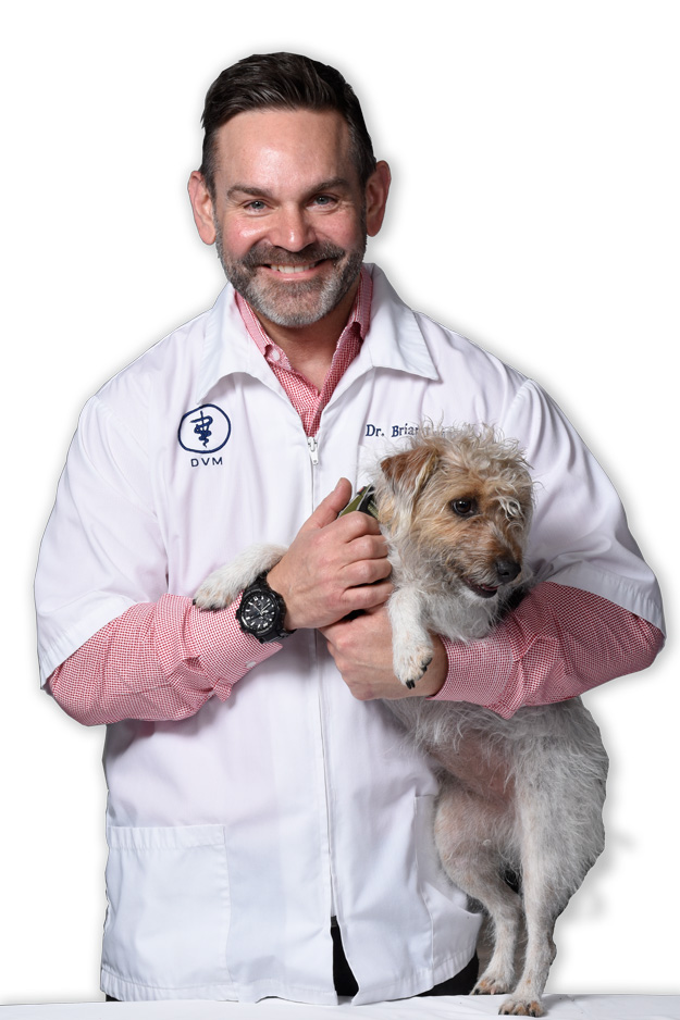 About - Randolph Animal Hospital - Asheboro, NC - Dr Brian T Barnett DVM