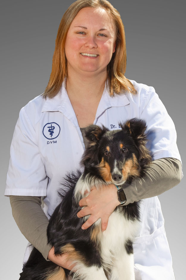 Dr. Erin Rakosky, DVM Dr. Erin Rakosky, DVM