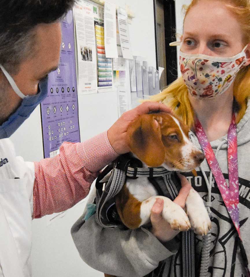 Our Doctors & Staff | Animal Hospital Randolph, Asheboro, NC