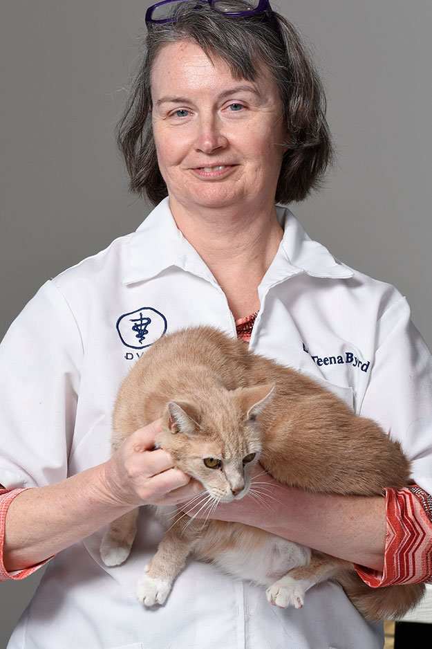 Dr. Teena L. Byrd, DVM Dr. Teena L. Byrd, DVM