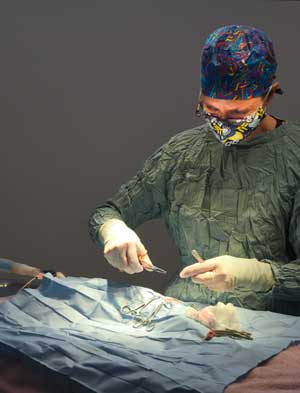 Randolph_Animal_Hospital_Asheboro_NC_Gallery_300x393_Surgery Randolph Animal Hospital Asheboro NC - Surgery