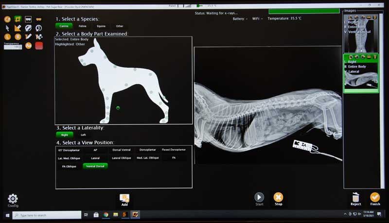 Randolph_Animal_Hospital_Asheboro_NC_Gallery_800x459_Diagnostics Randolph Animal Hospital Asheboro NC - Diagnostic Results