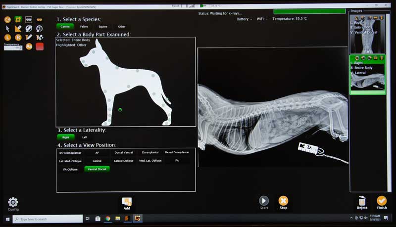 Randolph Animal Hospital Asheboro NC - Diagnostic Results