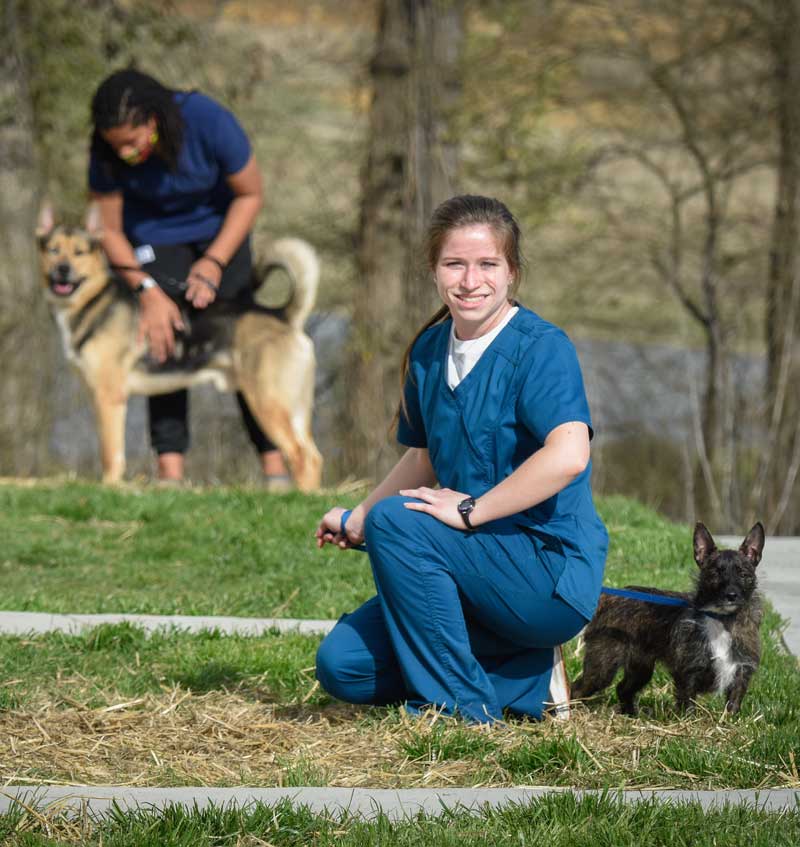 Randolph Animal Hospital Asheboro NC - Outside Walk