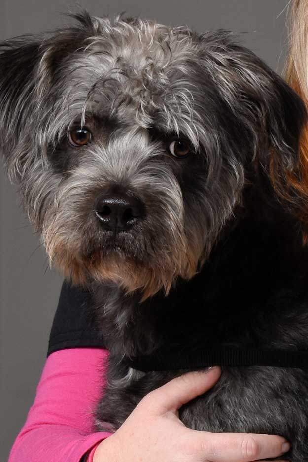 Randolph_Animal_Hospital_Asheboro_NC_Reviews Randolph_Animal_Hospital_Asheboro_NC_Reviews